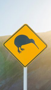 What Kiwis Want From Travel