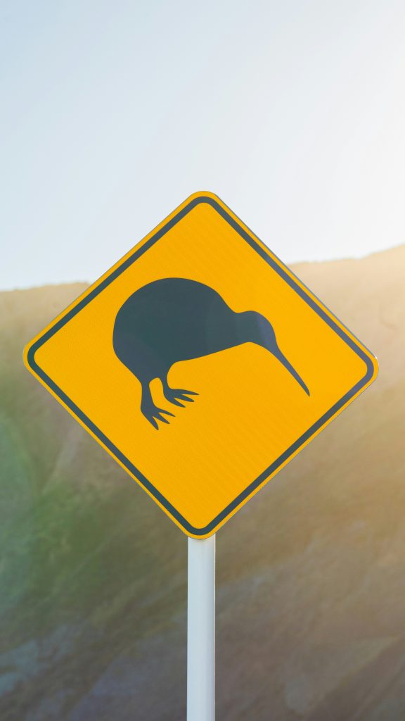 What Kiwis Want From Travel