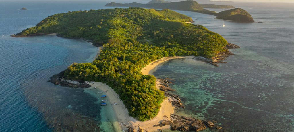 Fiji Group Proactive Despite Uncertainty