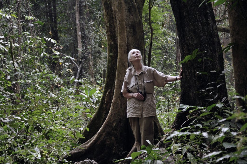 Jane Goodall Day & G Adventures Trips