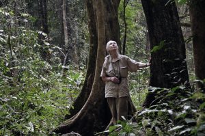 Jane Goodall Day & G Adventures Trips