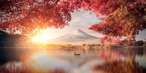 Asia Roadshow reflects demand